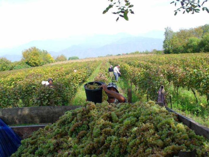 Azerbajdzsán körutazás utazás Kaukázus gyöngyszeme