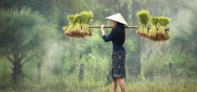 Körutazás Vietnámban üdüléssel