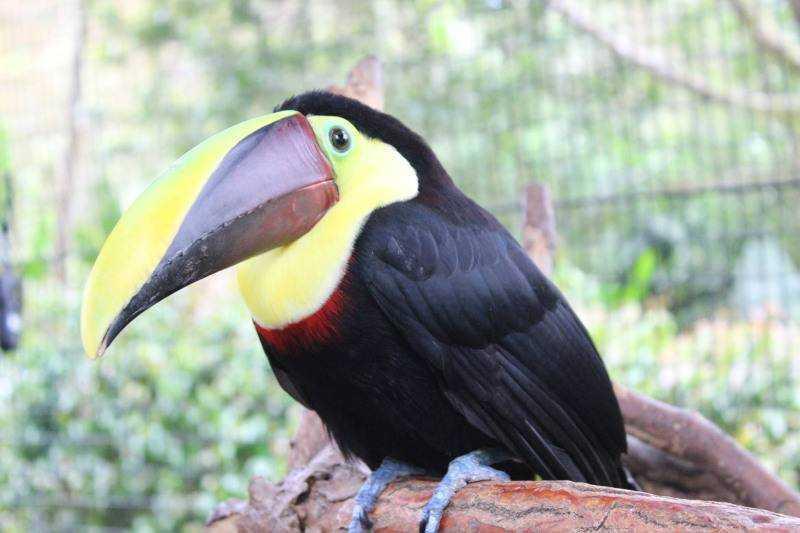 Panama körutazás utazás Közép-Amerika nagykörút