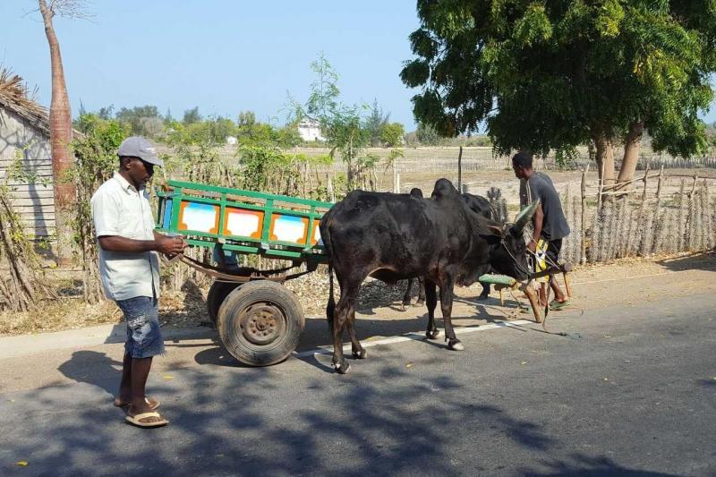 Madagaszkár, A Nyolcadik Kontinens