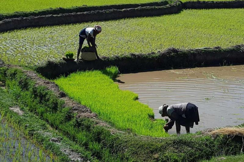 Madagaszkár, A Nyolcadik Kontinens