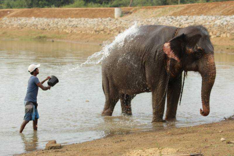 Nagykörút Sri Lankán