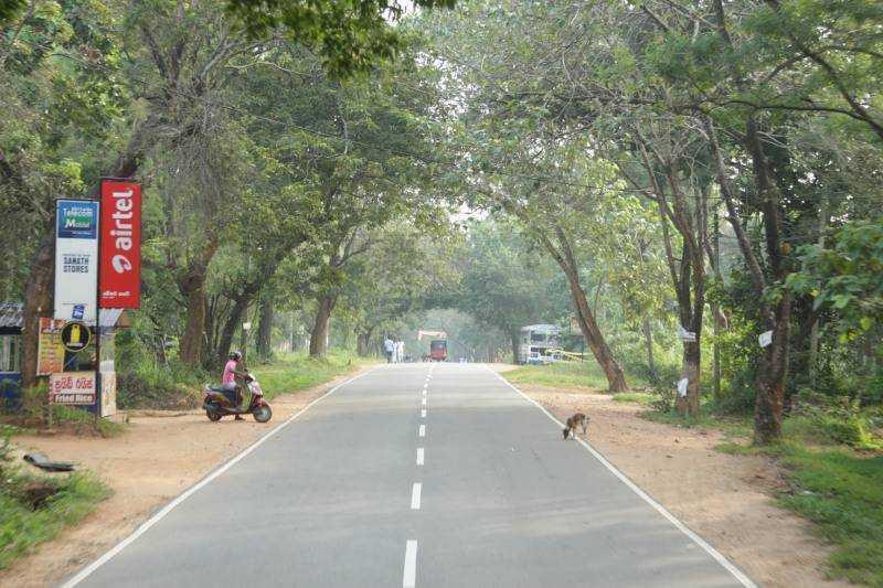 Nagykörút Sri Lankán