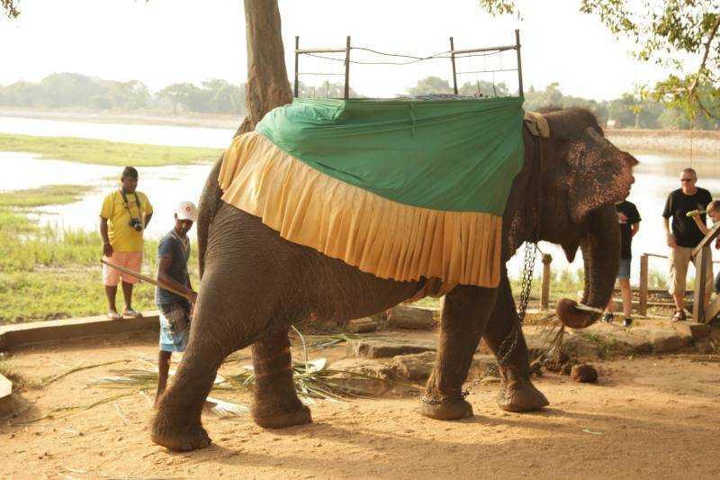 Nagykörút Sri Lankán