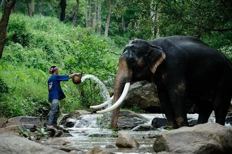 Nagy Körutazás Thaiföldön Pihenéssel Phuketen