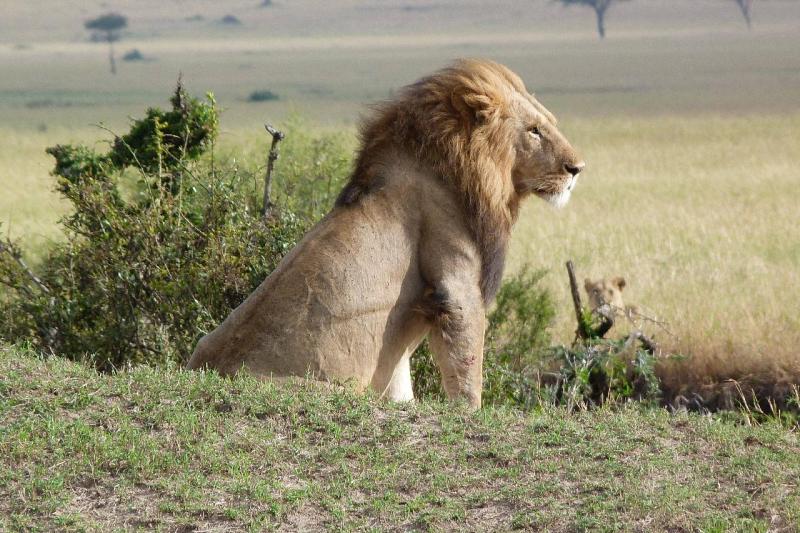 Szafari Tanzániában Zanzibári pihenéssel