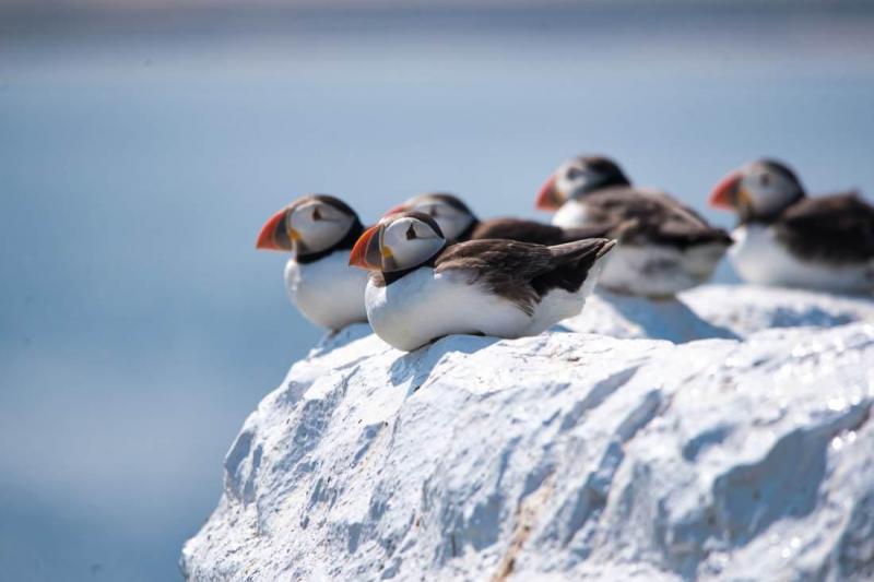 Reykjavík utazás Szilveszter Izlandon