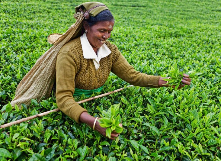 Szilveszter Srí Lankán, tengerparti pihenéssel - pótcsoport