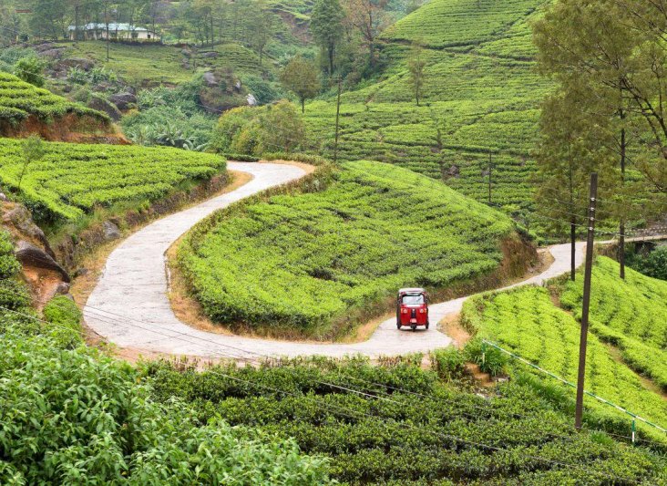 Szilveszter Srí Lankán, tengerparti pihenéssel - pótcsoport