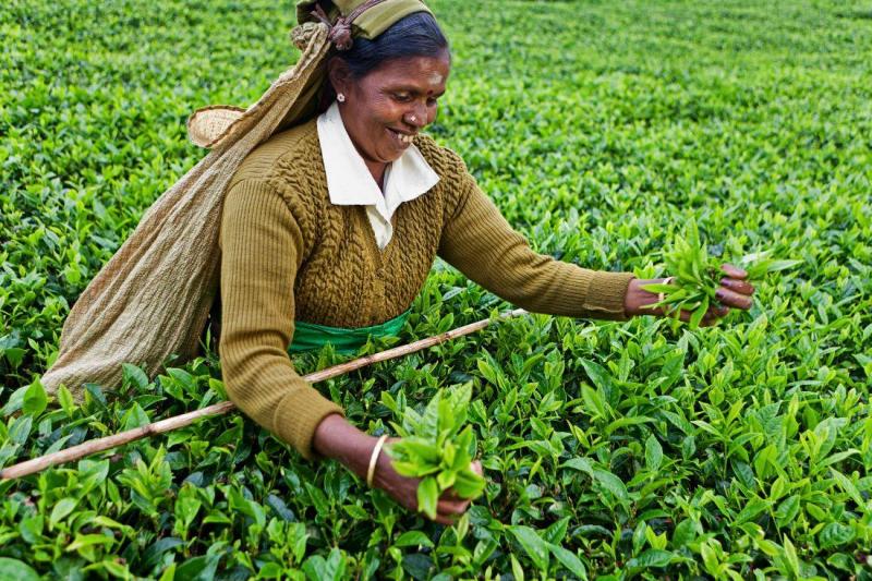 Szilveszter Srí Lankán, tengerparti pihenéssel