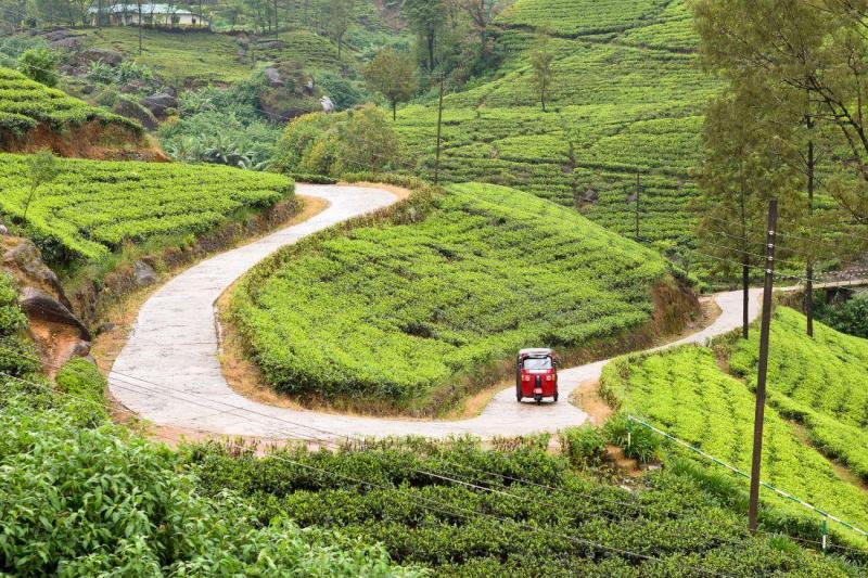 Szilveszter Srí Lankán, tengerparti pihenéssel