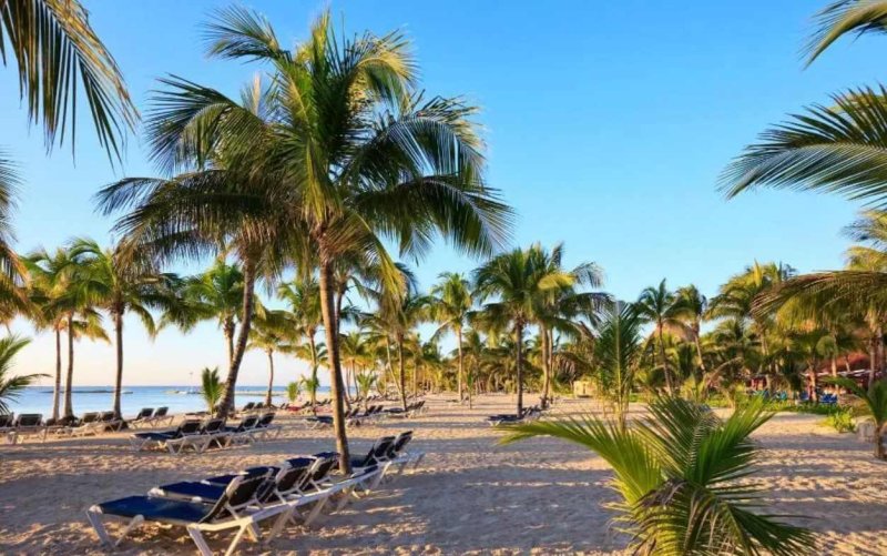 Mexikó utazás The Reef 28