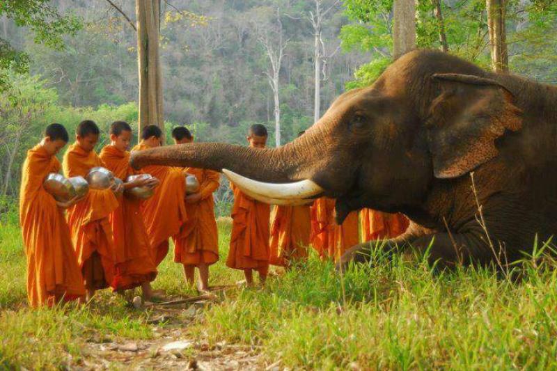 Vietnam-Kambodzsa Körutazás