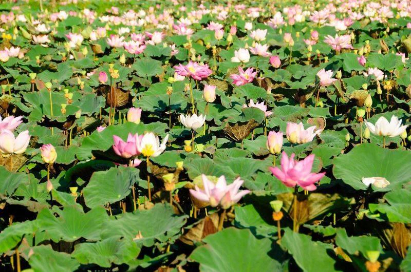 Vietnam-Kambodzsa Körutazás