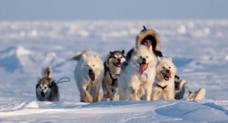 Koppenhága utazás Inuitok között Grönland hómezőin