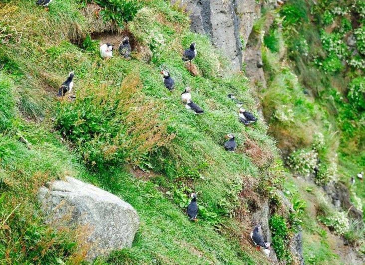 IZLAND - jégmezők, gejzírek, zuhatagok és fjordok szigete