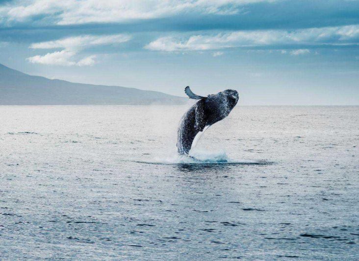 IZLAND - jégmezők, gejzírek, zuhatagok és fjordok szigete