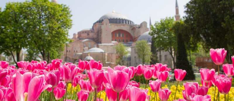 Isztambul utazás Tulipanfesztival