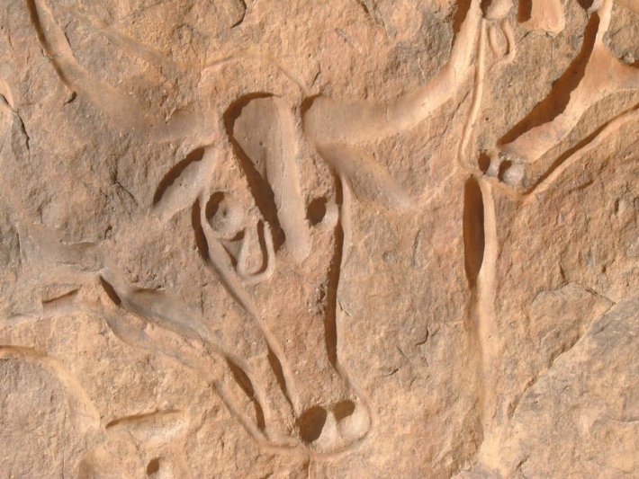 Algéria felfedezése körút