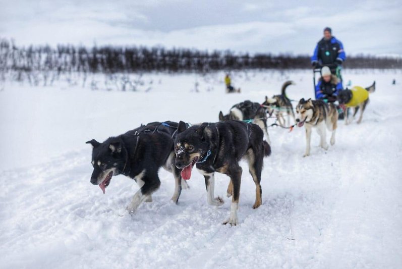 Norvég körutazások utazás Az Aurora Borealis titkai