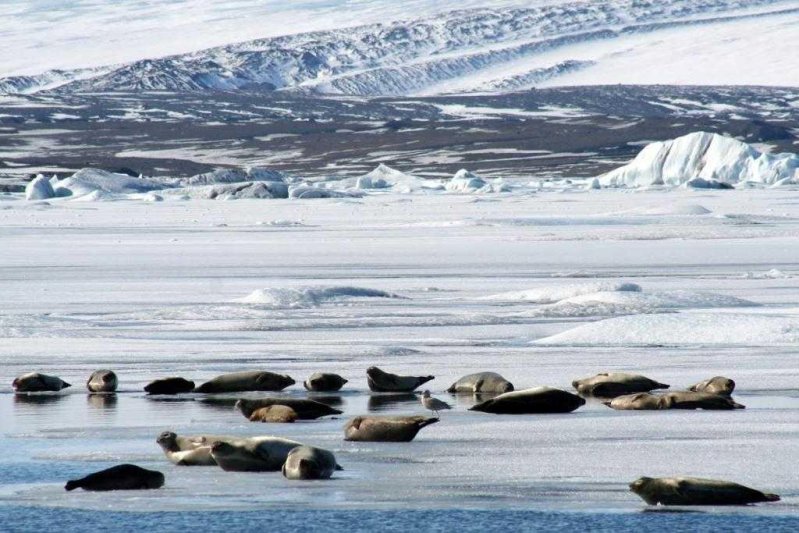 Reykjavík utazás Izland télen