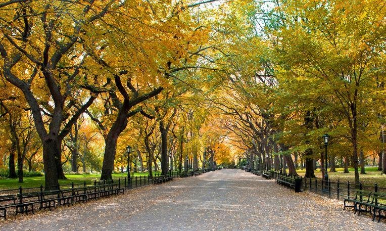 USA körutazások utazás New York City haladóknak