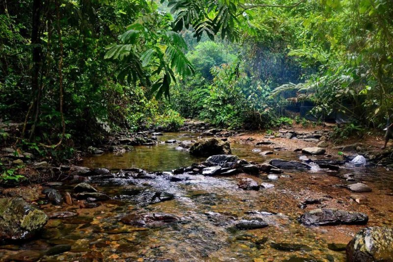 Szingapúr utazás utazás A Maláj-félsziget csodái és Szumátra vadvilága