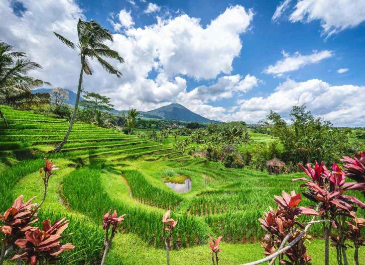 Bali, az Istenek szigete Bali
