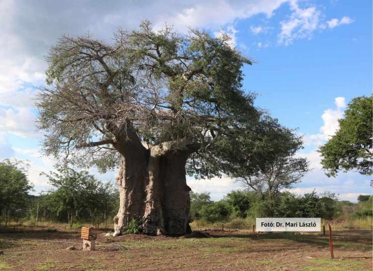 Dél-Afrika körutazás