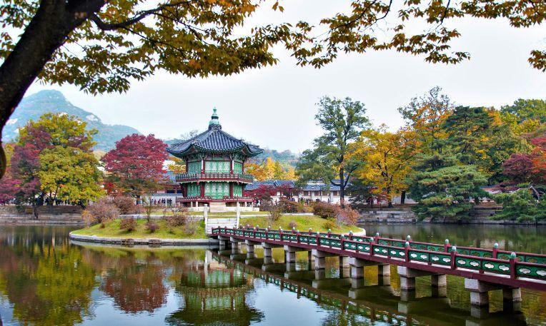 Dél-Korea - a cseresznyevirágzás idején