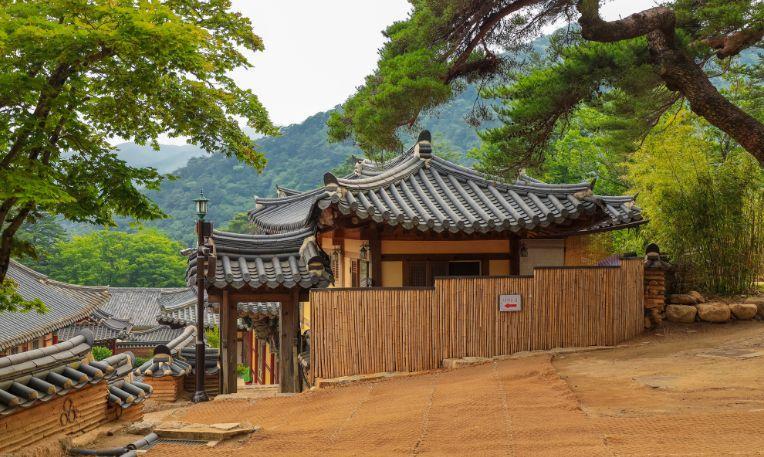 Dél-Korea - a cseresznyevirágzás idején