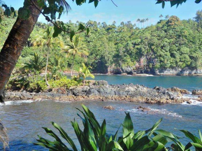 Hawaii, a Csendes-óceán trópusi gyöngyszemei