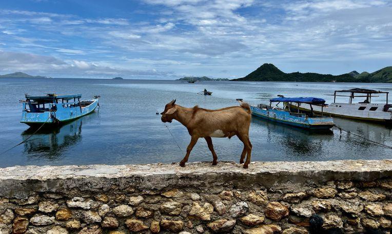 utazás Indonéziai kalandok Bali