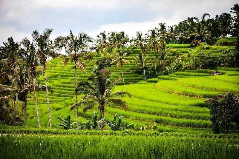 utazás Indonéziai kalandok Bali