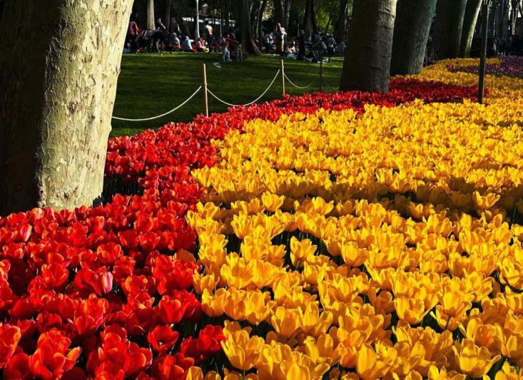 Isztambul és a Boszporusz a Nemzetközi Tulipánfesztivál idején