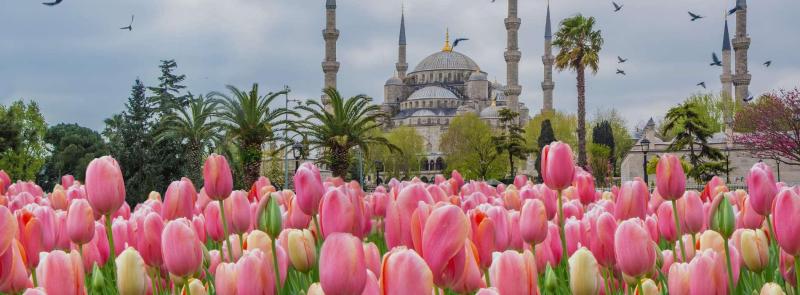 Isztambul és a Boszporusz a Nemzetközi Tulipánfesztivál idején