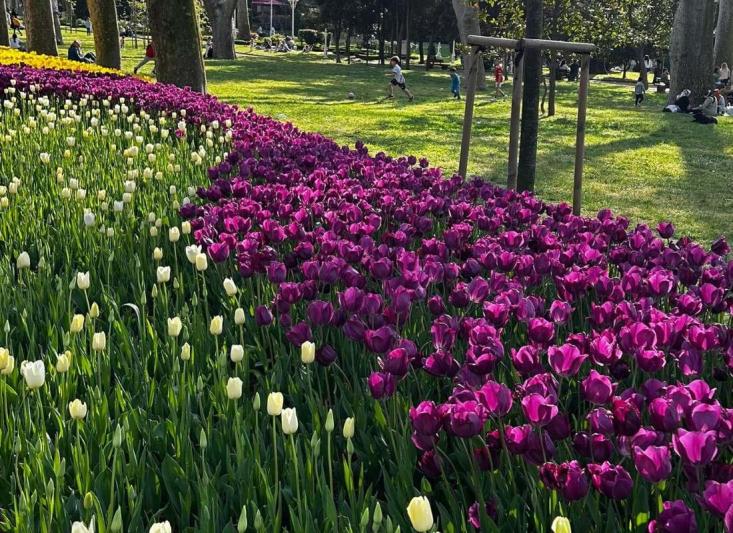 Isztambul és a Boszporusz a Nemzetközi Tulipánfesztivál idején