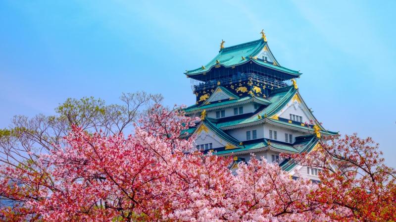 Japán a cseresznyevirágzás idején