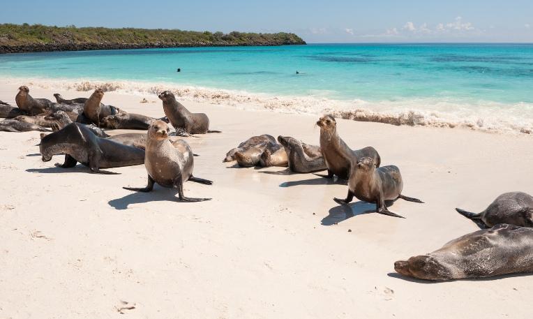 Kolumbia - Ecuador körutazás, Galápagos-szigetek hosszabbítással
