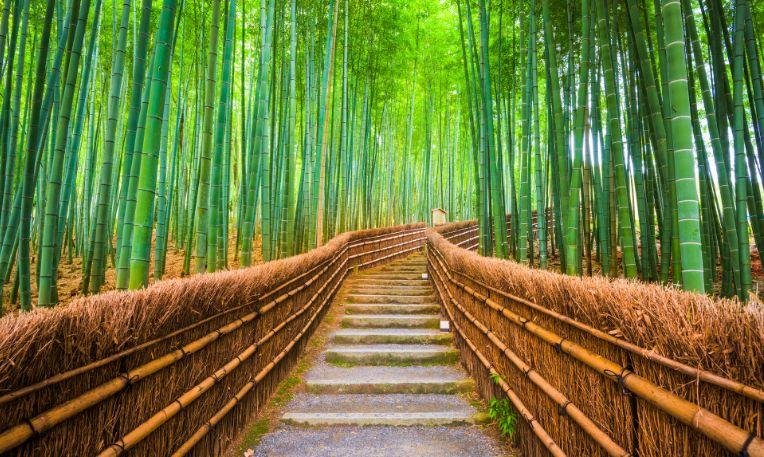 Japán utazás körutazás utazás Körutazás Japánban