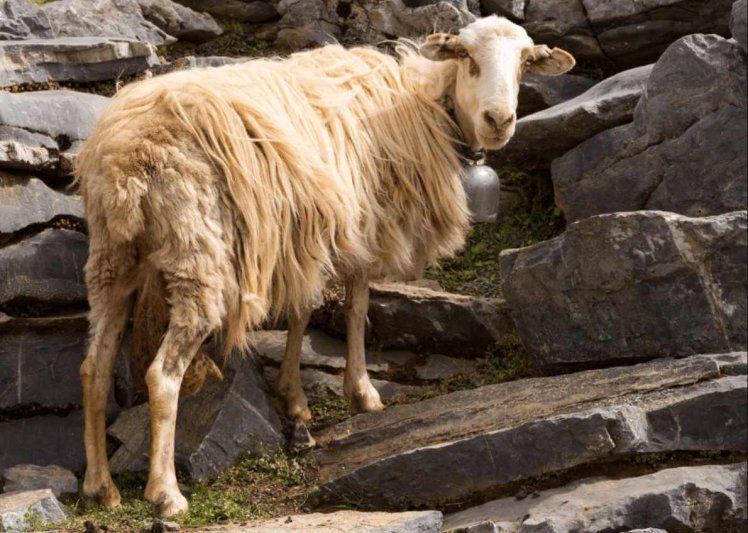 Görög körutak utazás Kréta Körutazás a Minotaurusz földjén