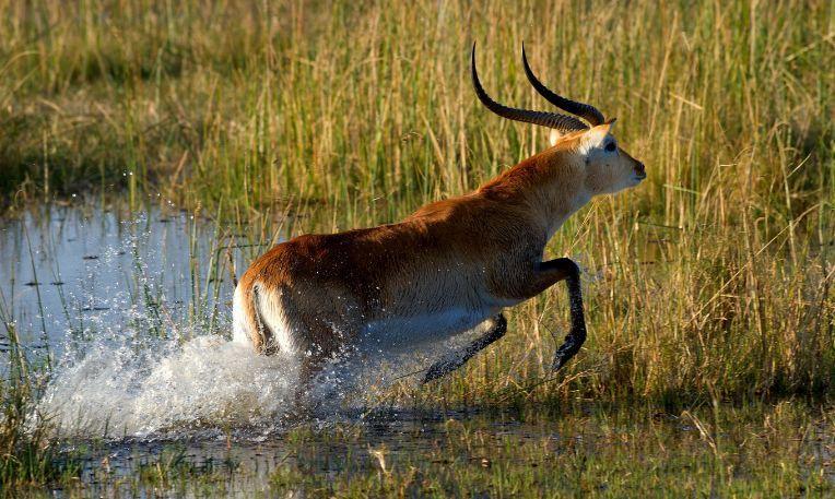 Namíbia - Botswana - Zimbabwe körutazás