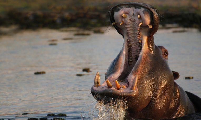 Namíbia - Botswana - Zimbabwe körutazás