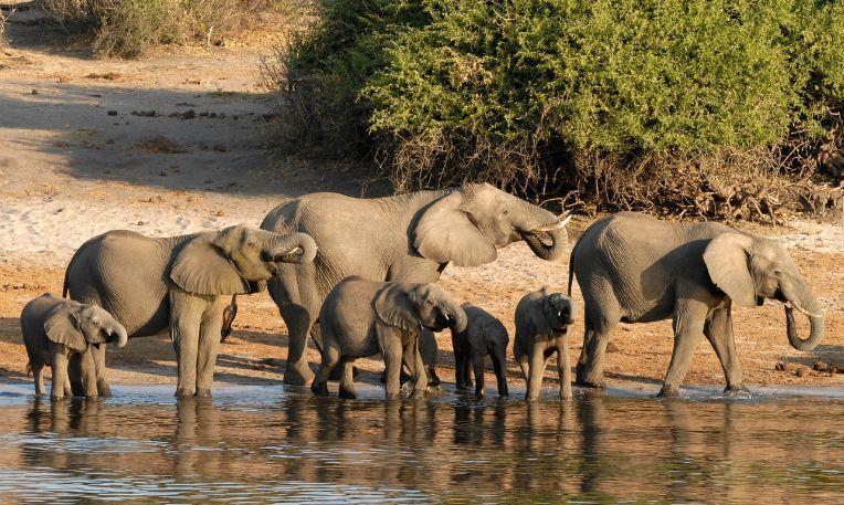 Namíbia - Botswana - Zimbabwe körutazás