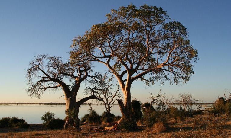 Namíbia - Botswana - Zimbabwe körutazás