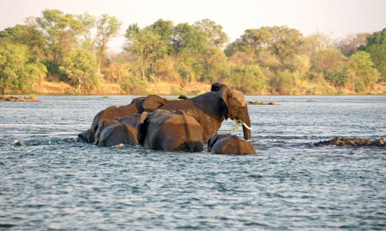 Namíbia - Botswana - Zimbabwe körutazás