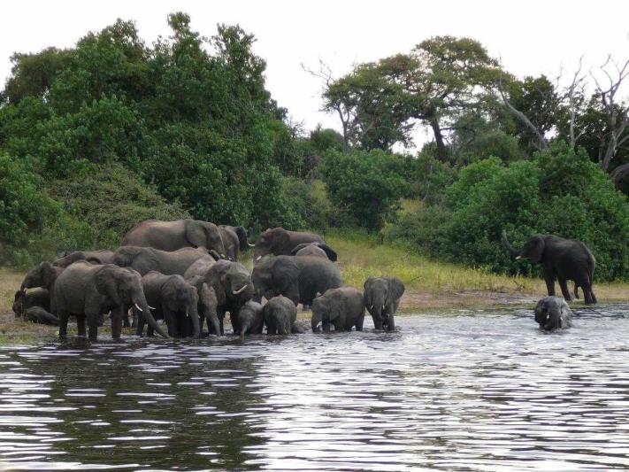 Namíbia - Botswana - Zimbabwe körutazás