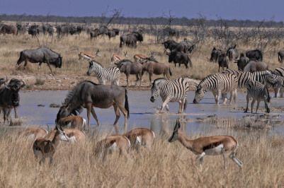 Namíbia - Botswana - Zimbabwe körutazás