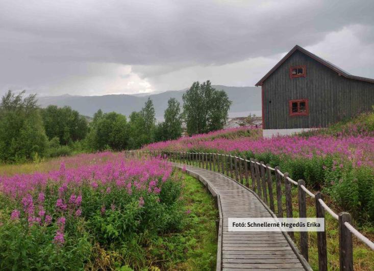 Nordkapp: Észak-Norvégia az éjféli nap fényében