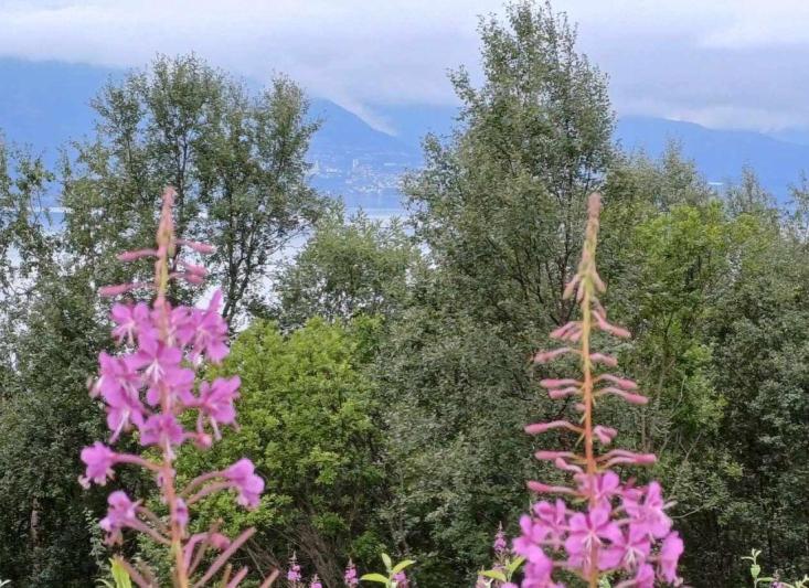 Nordkapp: Észak-Norvégia az éjféli nap fényében